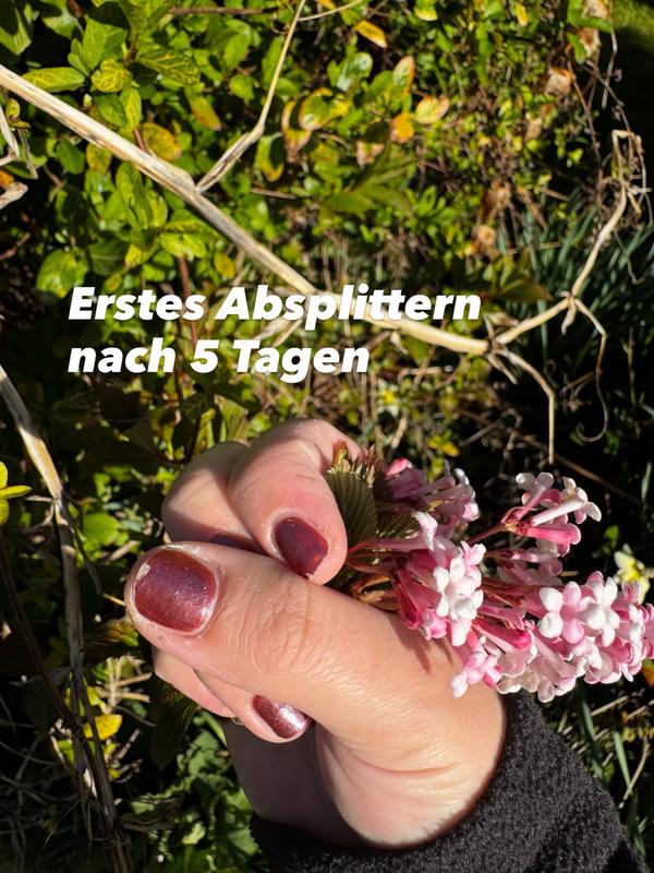 Bewertung zu Foto 2.