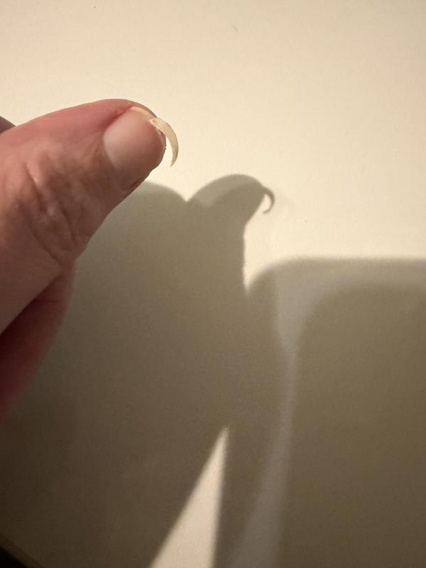 Bewertung zu Foto 2.