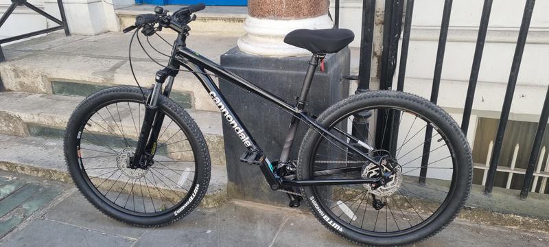 2021 cannondale trail discount 7