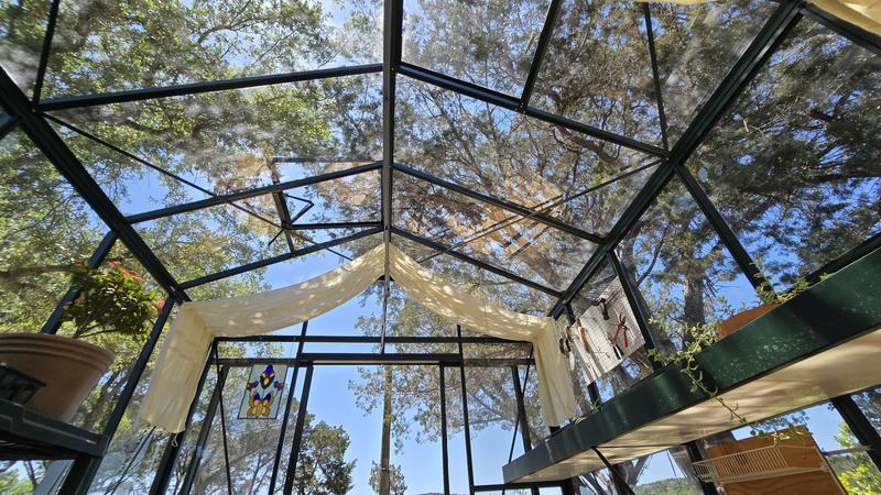 Home amongst the shade trees