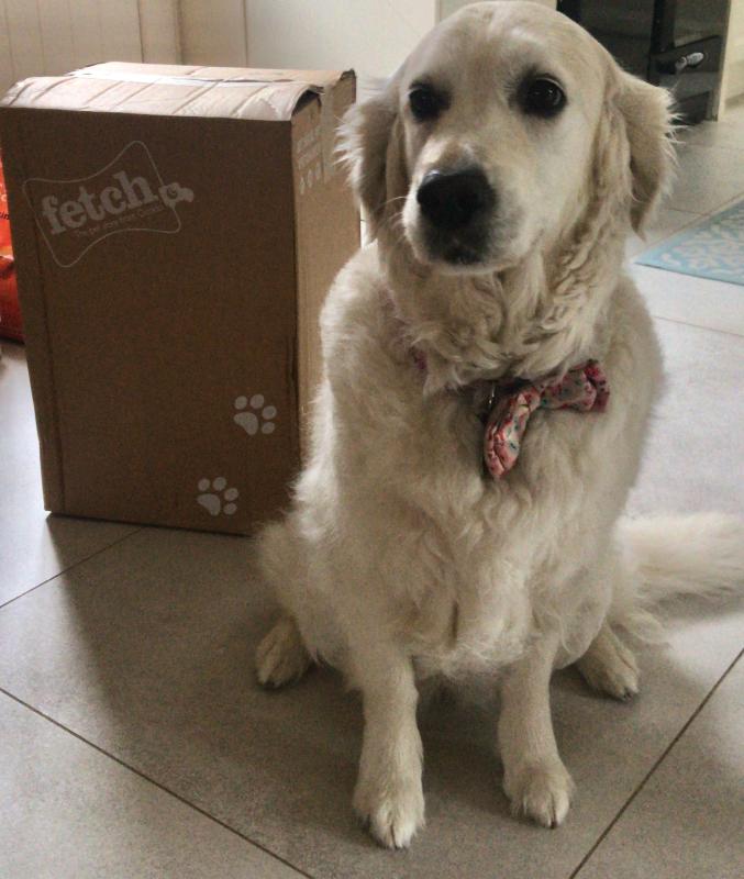 cheapest wafcol dog food