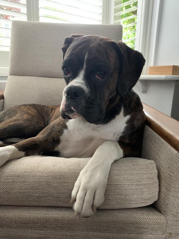 aatu salmon and herring 10kg