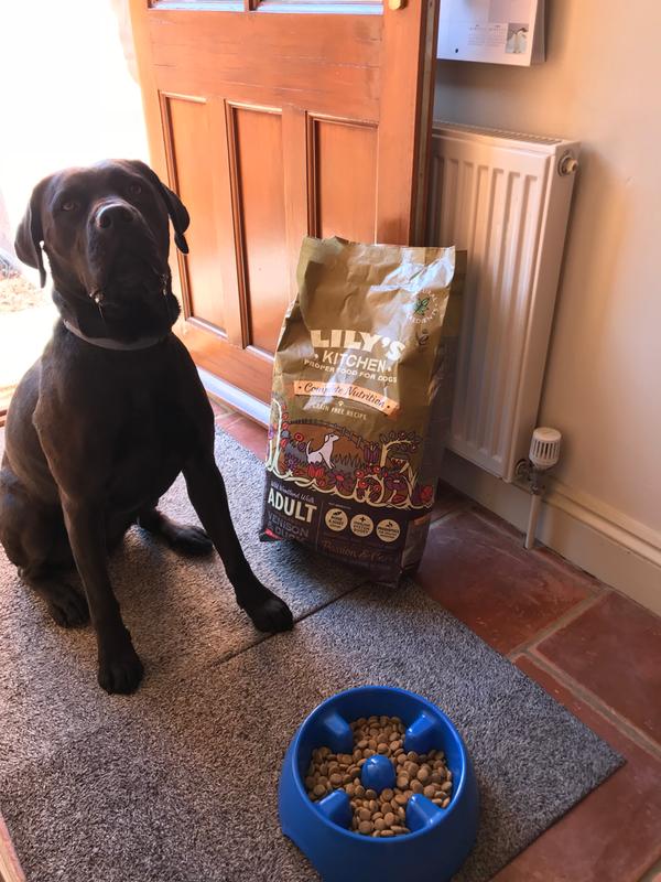 lily's kitchen dry dog food 2.5 kg