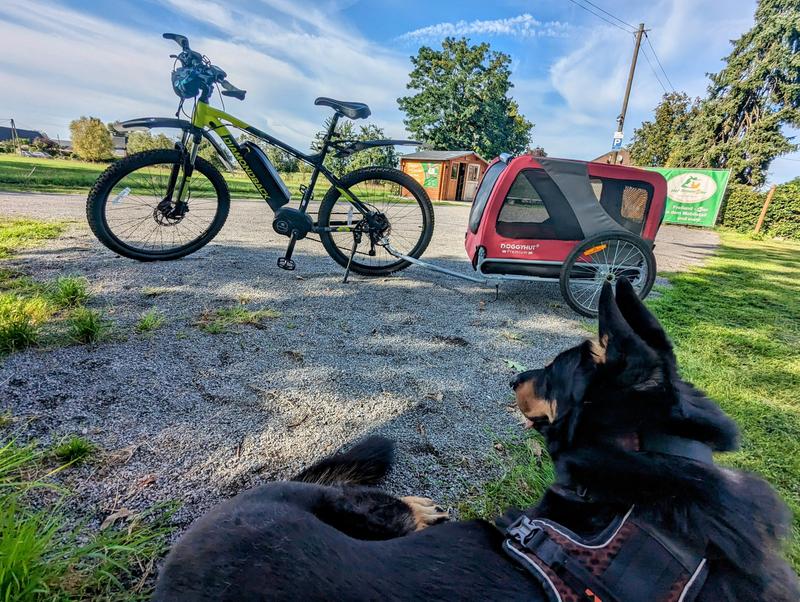 Touring with the pup