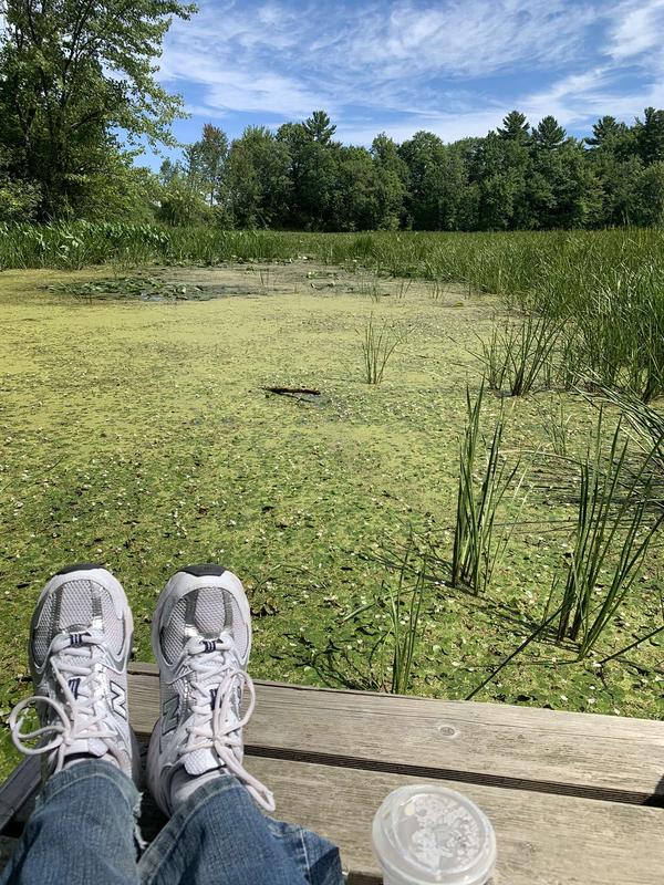 The journey is in the shoes.