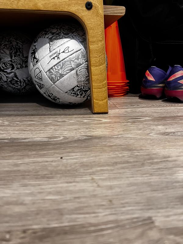 Ball one and two of three shown with boots and agility cones.