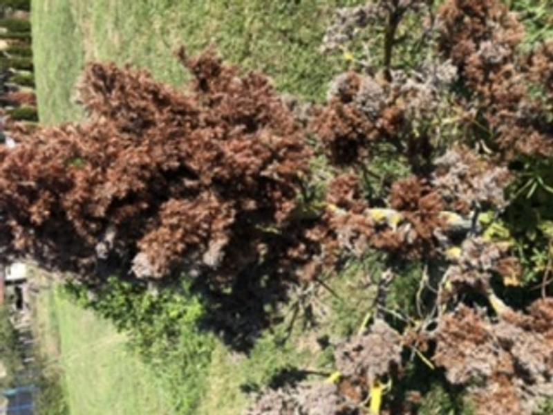 Ouvrir la fenêtre modale de l'avis 4 sur 5