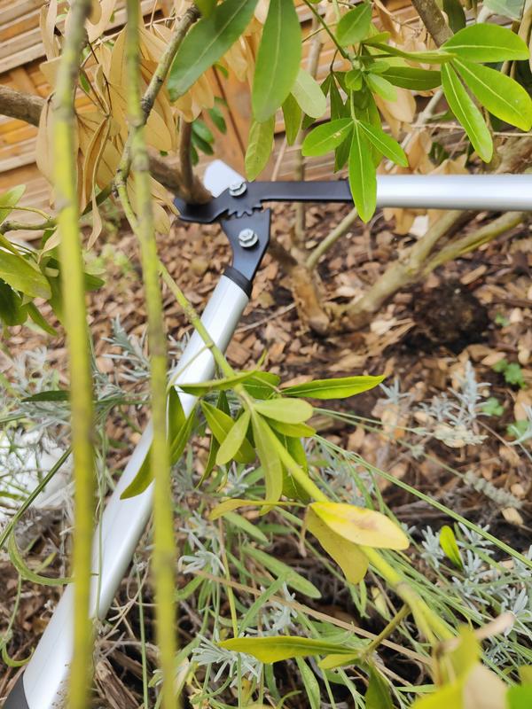 Ouvrir la fenêtre modale de l'avis 1 sur 6