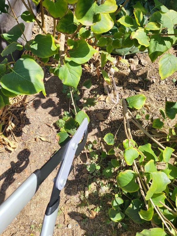 Ouvrir la fenêtre modale de l'avis 2 sur 4