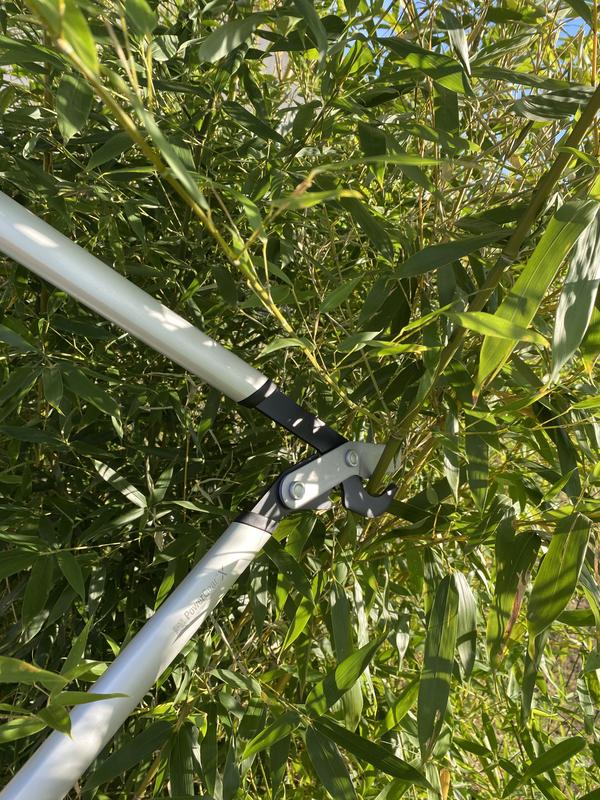 Ouvrir la fenêtre modale de l'avis 4 sur 4