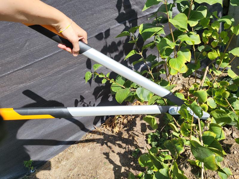 Ouvrir la fenêtre modale de l'avis 3 sur 4