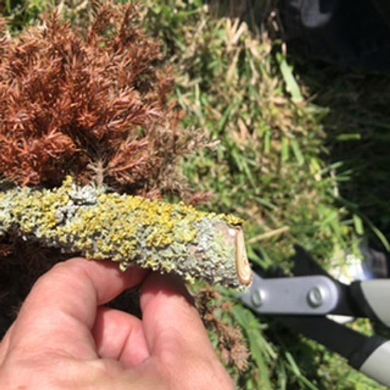 Ouvrir la fenêtre modale de l'avis 5 sur 5