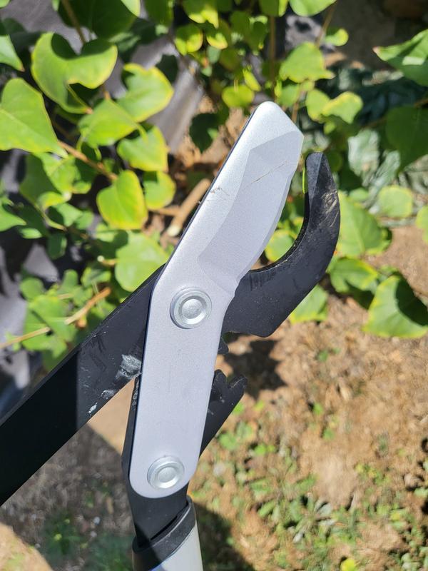 Ouvrir la fenêtre modale de l'avis 4 sur 4