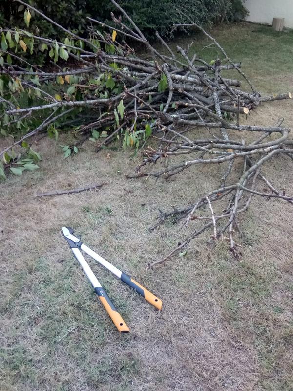 Ouvrir la fenêtre modale de l'avis 1 sur 5