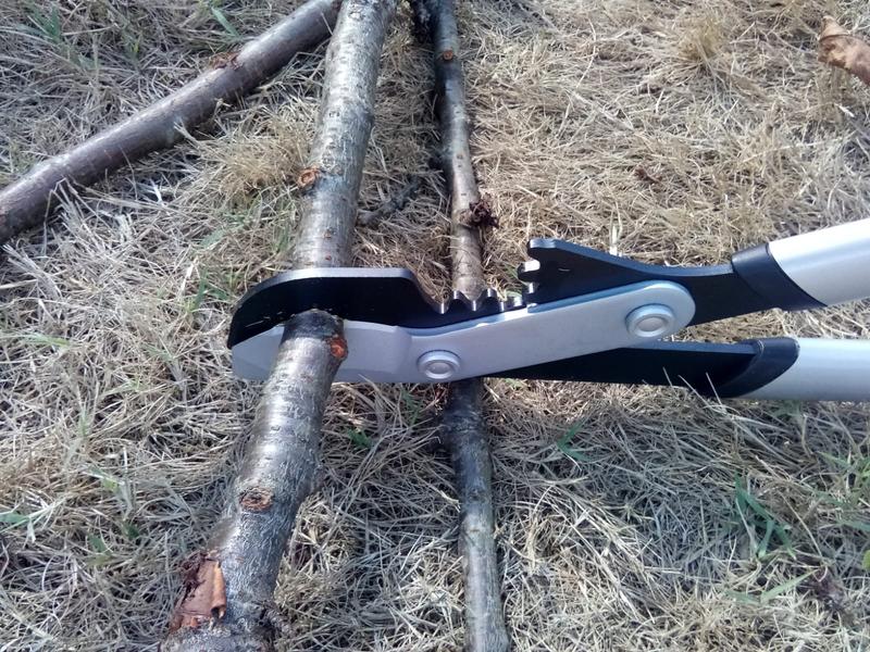 Ouvrir la fenêtre modale de l'avis 5 sur 5