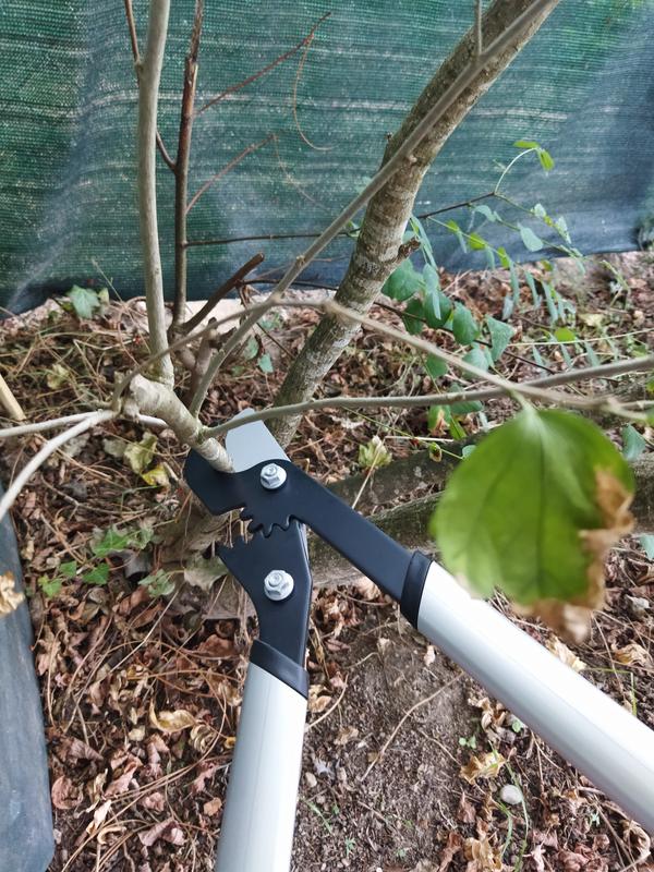 Ouvrir la fenêtre modale de l'avis 1 sur 2