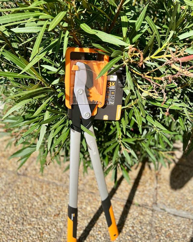 Ouvrir la fenêtre modale de l'avis 2 sur 4