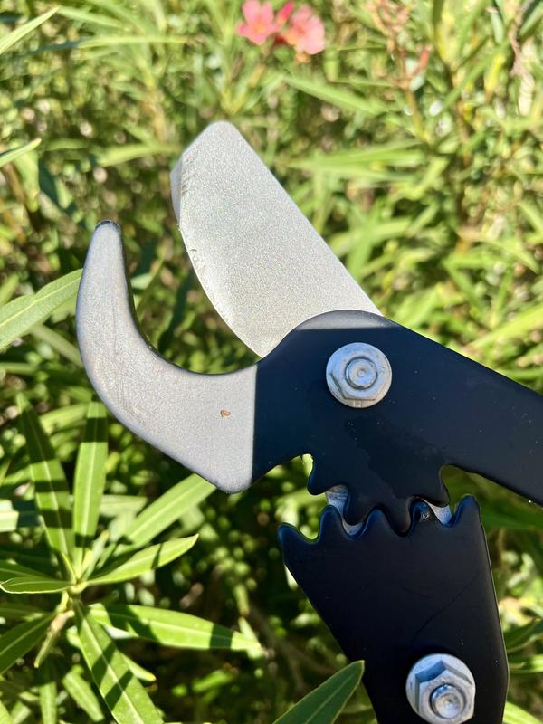 Ouvrir la fenêtre modale de l'avis 4 sur 4