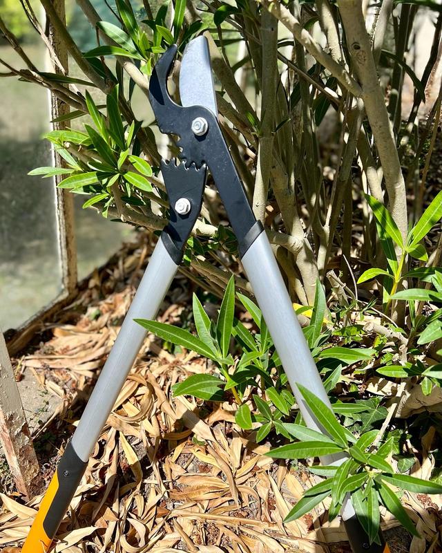 Ouvrir la fenêtre modale de l'avis 3 sur 4