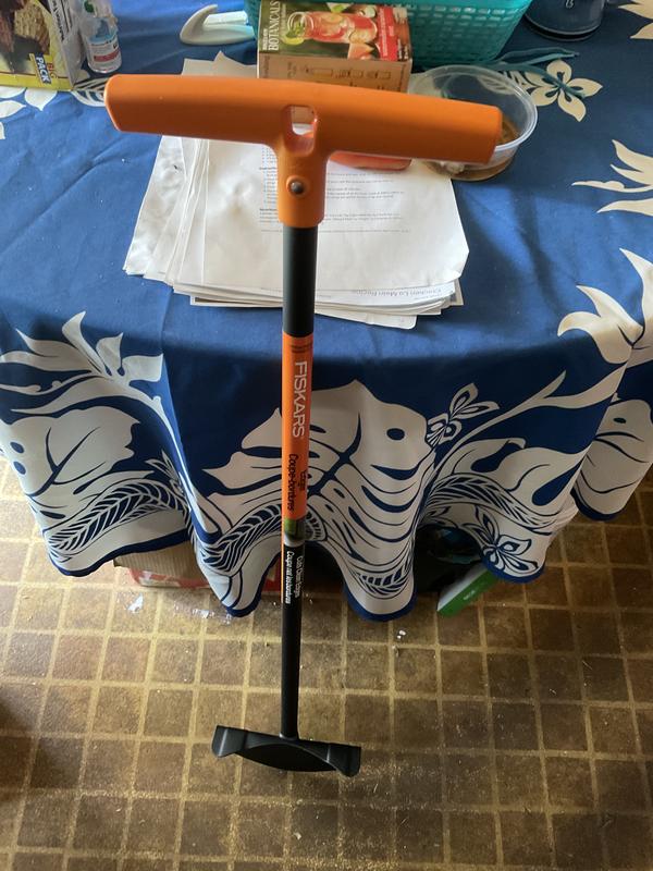 Photo - commentaire&nbsp;7.