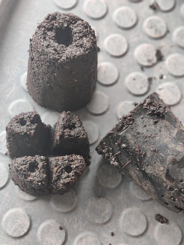 Photo - commentaire&nbsp;1.