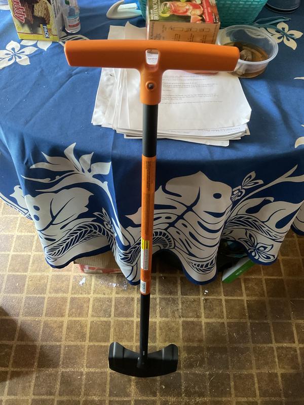 Photo - commentaire&nbsp;8.