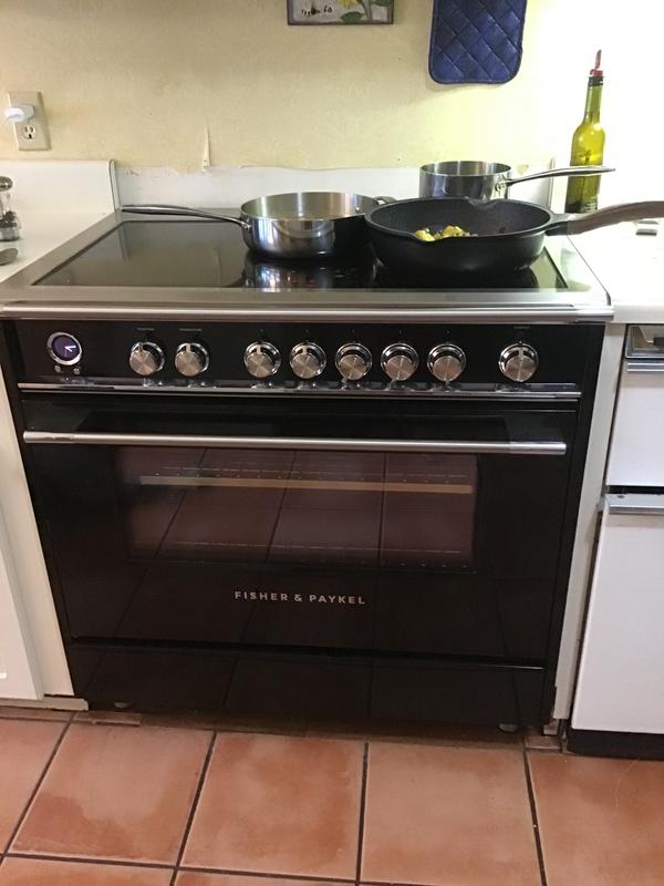 Fisher and paykel store induction oven