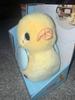 Customer review photo 5