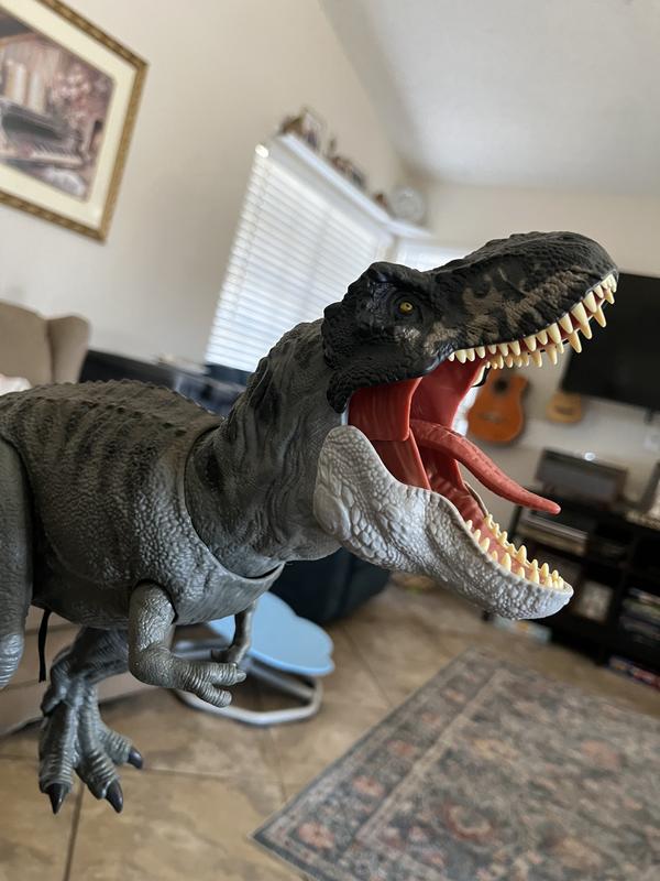 Review Thumbnail Image 0 242969941