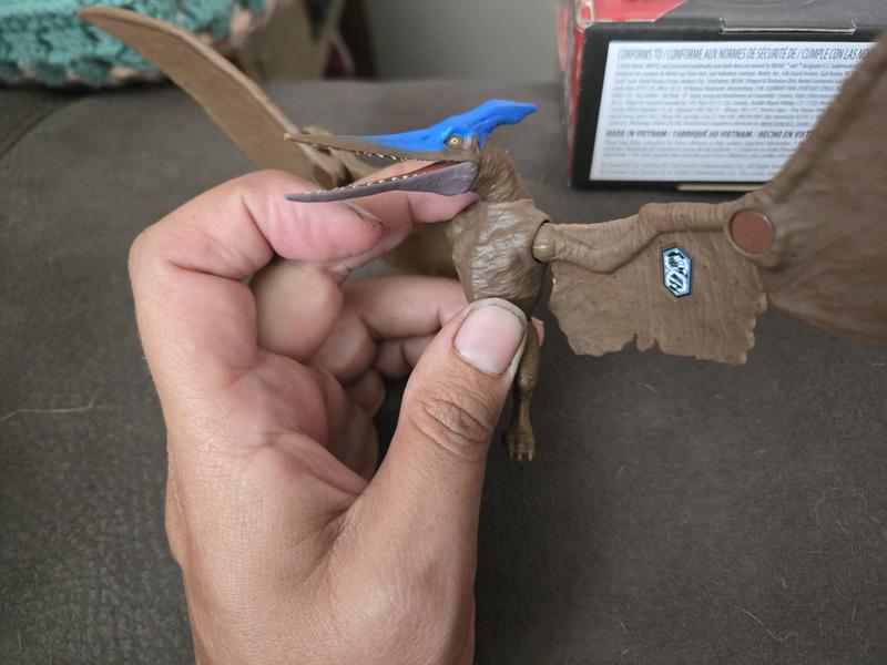 Review Thumbnail Image 2 243853678