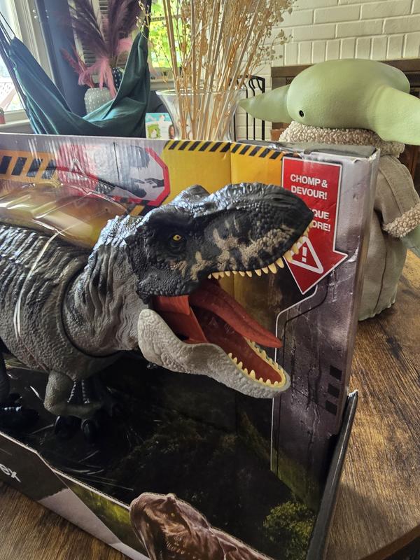 Review Thumbnail Image 0 242828439