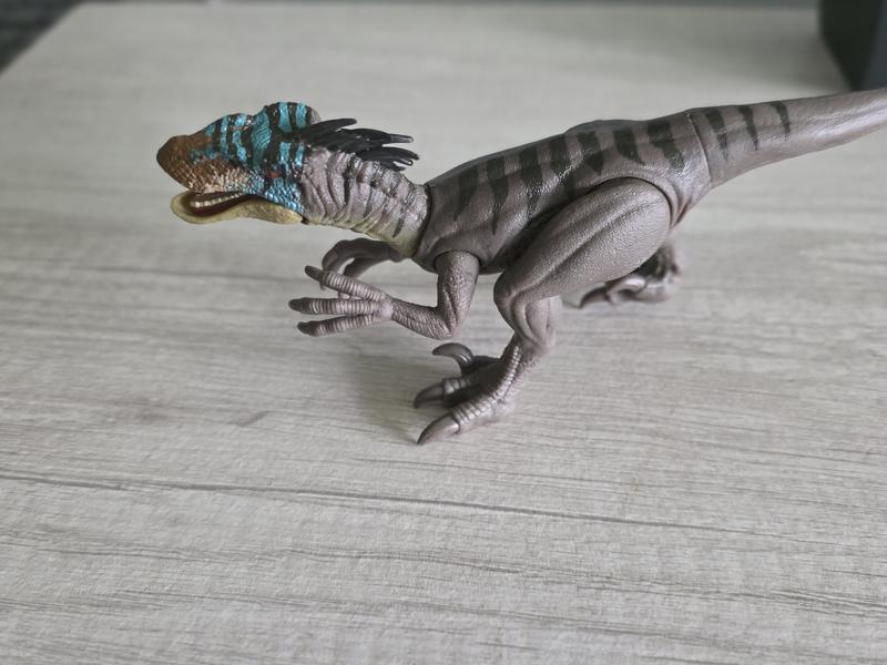 Review Thumbnail Image 3 243856527