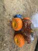 Customer review photo 10