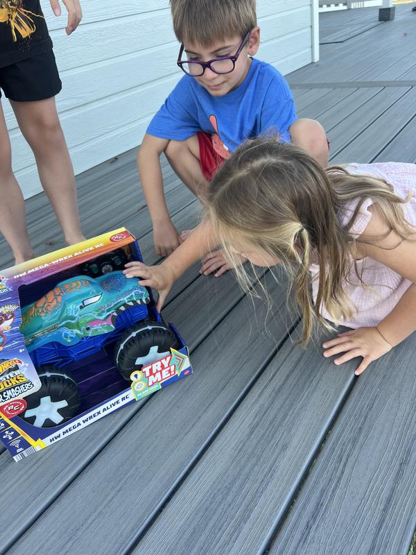 Review Thumbnail Image 1 235386586