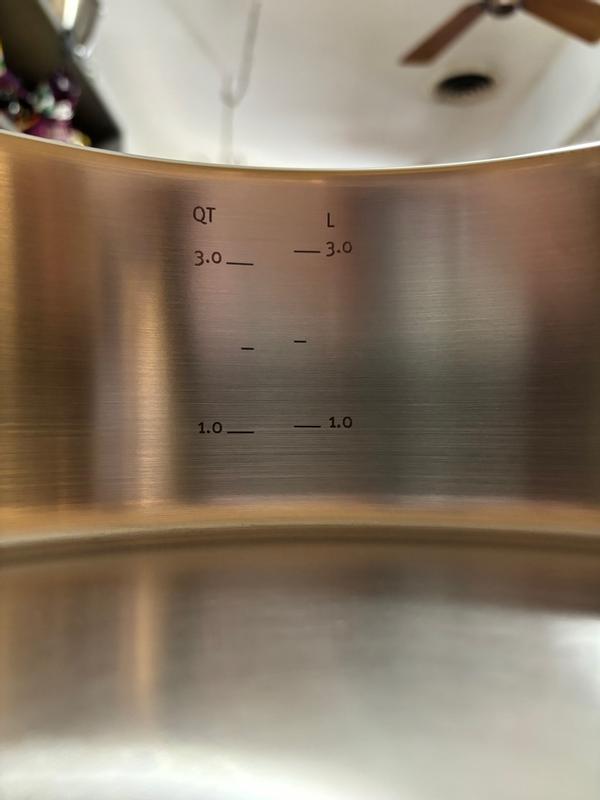 Revisione aperta modale 4 su 4