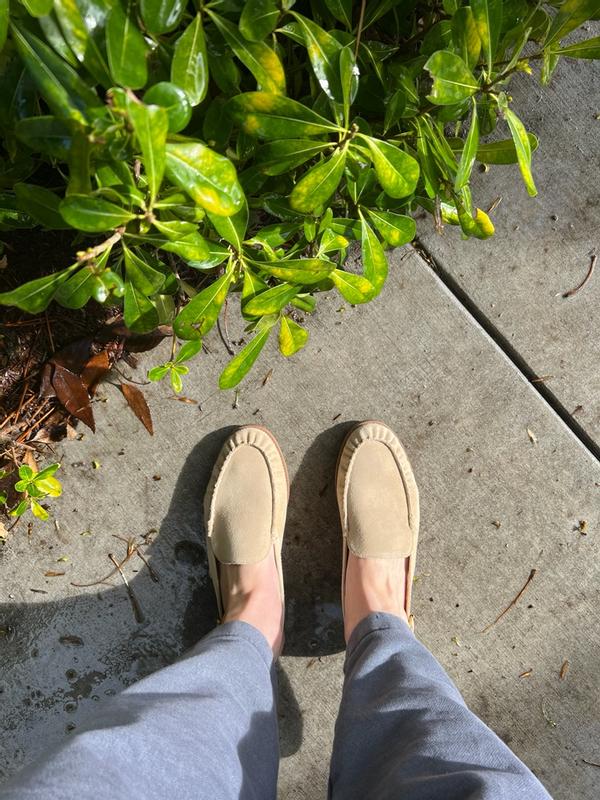 Review Thumbnail Image 1 379569382