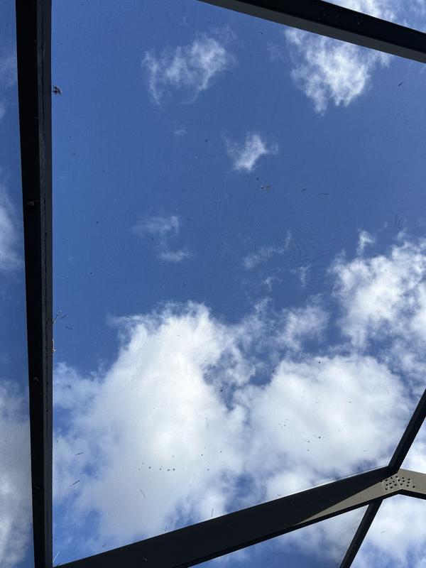 Review Thumbnail Image 0 374136608