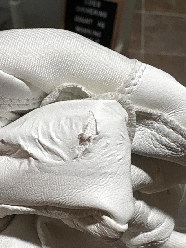 Photo submitted with review of product