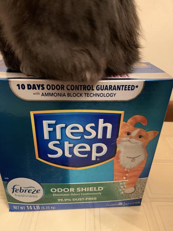 Our cats LOVE their new odorless litter!!