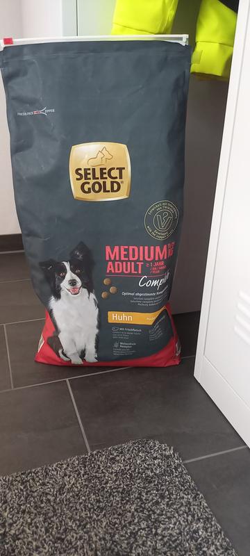 SELECT GOLD Complete Trockenfutter Hund Medium Adult Rind 1 kg | FRESSNAPF