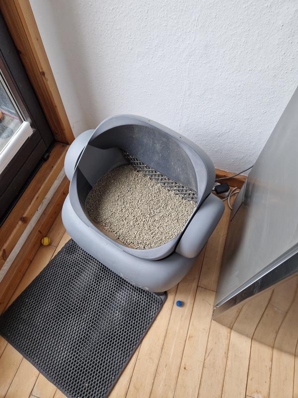 FIT+FUN Katzenstreu klumpend 20 kg | FRESSNAPF