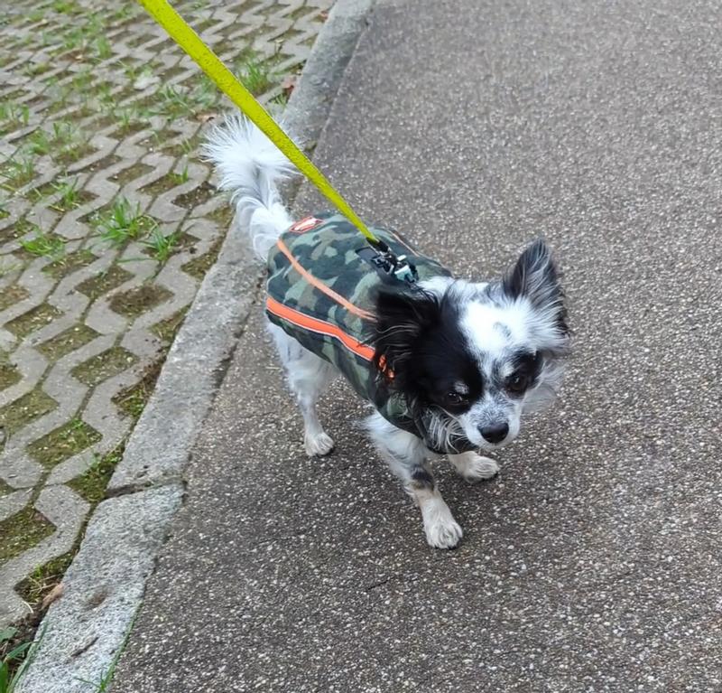Dogs Creek Makalu Camouflage fleece jacket 48 cm | MAXI ZOO