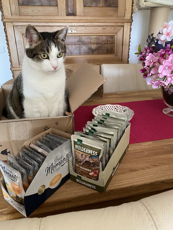 REAL NATURE Wilderness Adult Pure Beef 12x85 g MAXI ZOO