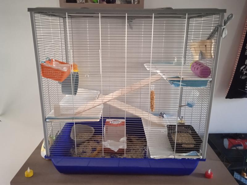 Maxi zoo hot sale hamster cages