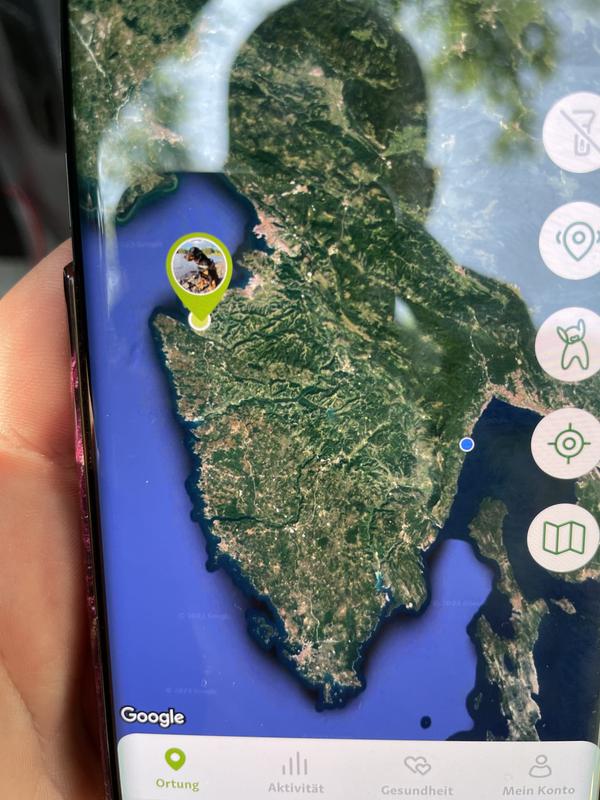 Maxi Zoo Traceur GPS pour chiens gris clair *édition limitée