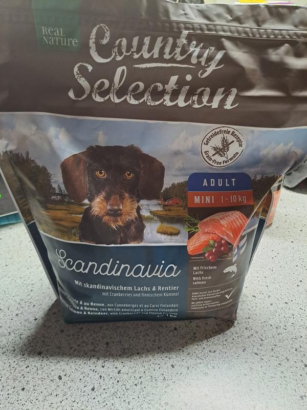 hundebett für kleine hunde Das perfekte Dackelbett: 2-in-1 Hundehöhle Alpin von Leopold's Finest –  Martha's main image 1