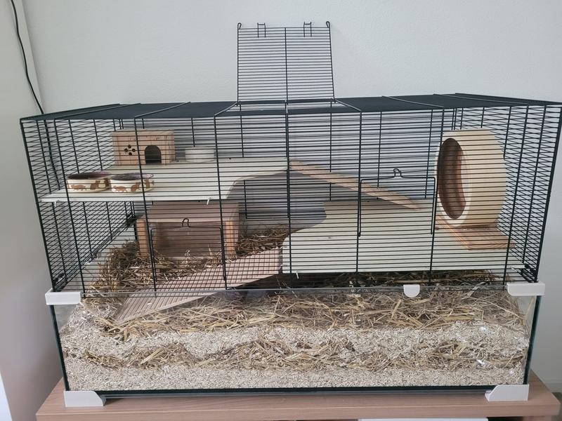 Skyline falco small pet 2024 cage