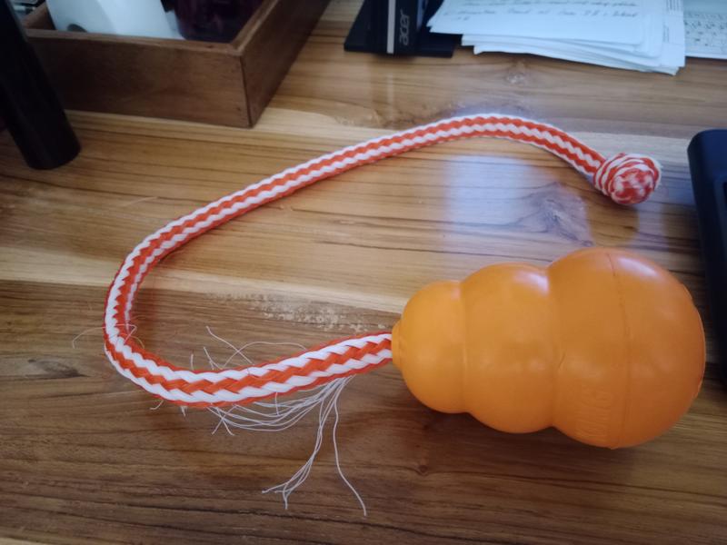 Floating kong store on a rope