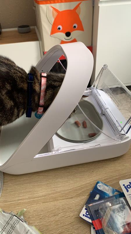hundefutter aufbewahrungsbox Futterbehälter für Hunde - luftdichte Hundefutterbox main image 1