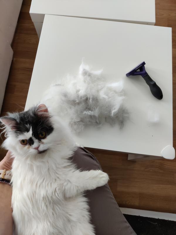 Furminator brosse pour chat poils longs
